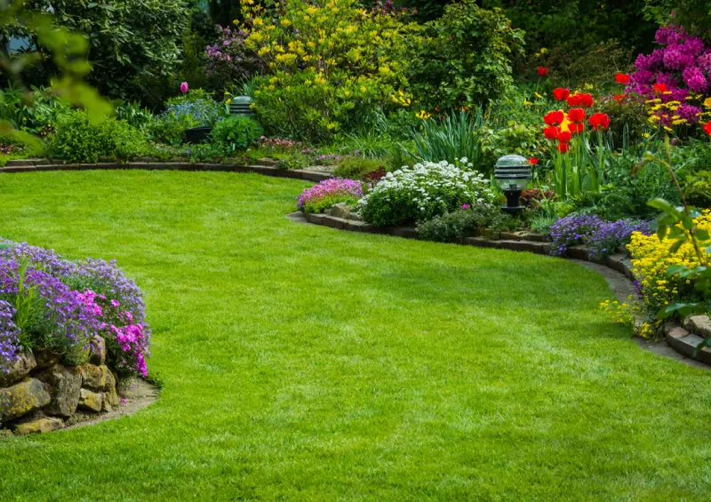 Carsandra Vente De Gazon Synthetique A Beziers Nos Conseils Carsandra Vente De Gazon Synthetique A Beziers Nos Conseils